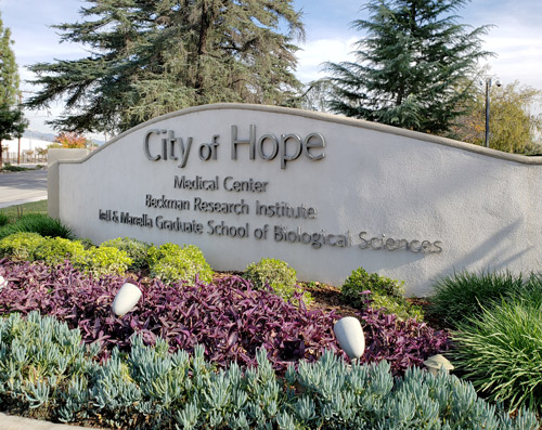 City of Hope, Los Angeles