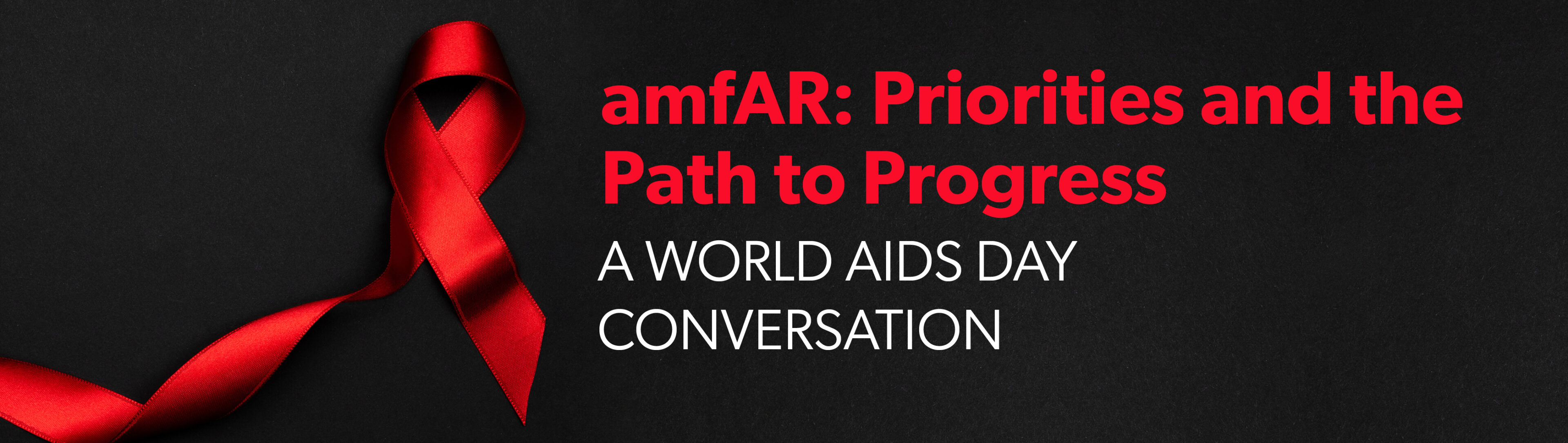 amfAR: Priorities and the Path to Progress