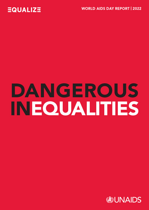 Dangerous Inequalities cover