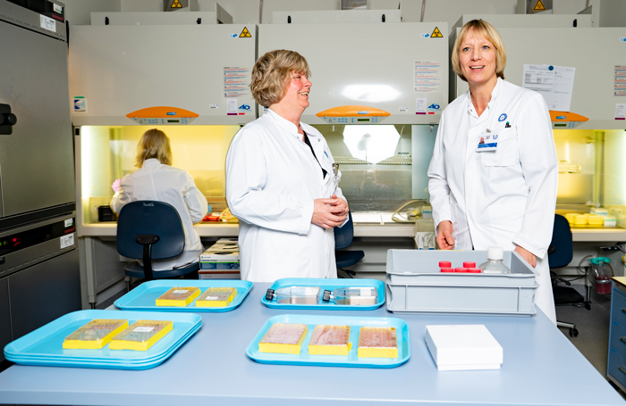 AnneMarie Wensing, Ph.D. (right), co-principal investigator, and Monique Nijhuis, Ph.D., of University Medical Center Utrecht, the Netherlands