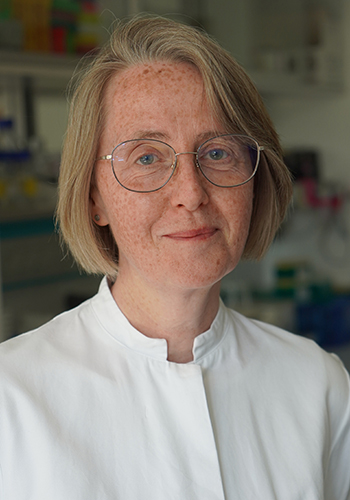 Dr. Hildegard Büning, Hannover Medical School. Photo © Stefan Zorn for MHH