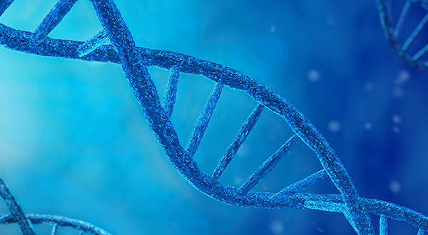 amfAR Grants Advance Gene Therapy Approaches to Curing HIV