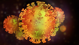 How Does the HIV Reservoir Avoid Destruction?