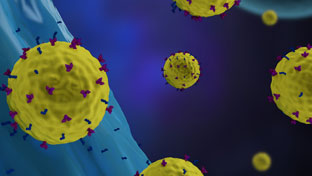 CAR T Cells, Boosted
