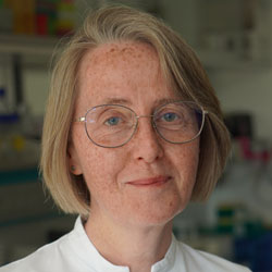 Hildegard Büning, PhD
