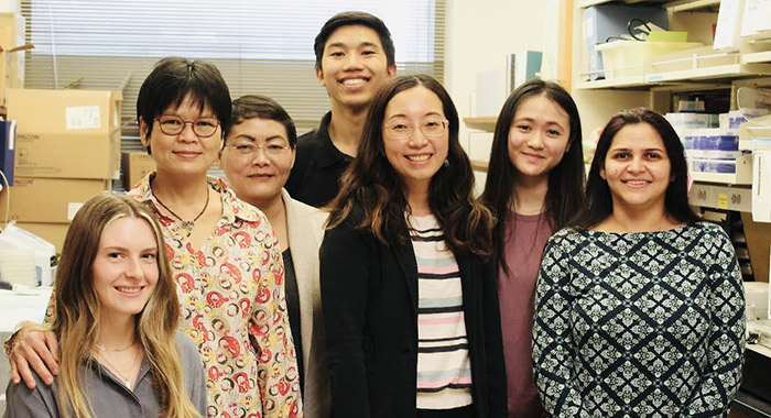 Wally Wennerberg, Hwee Ng, Dr. Li Wang, Nicholas Tien, Dr. Anjie Zhen (PI), Dr. Caitlin Kan, Dr. Shallu Tomer