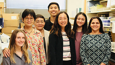 Dr. Anjie Zhen of UCLA, with her team Wally Wennerberg, Hwee Ng, Dr. Li Wang, Nicholas Tien, Dr. Caitlin Kan, Dr. Shallu Tomer