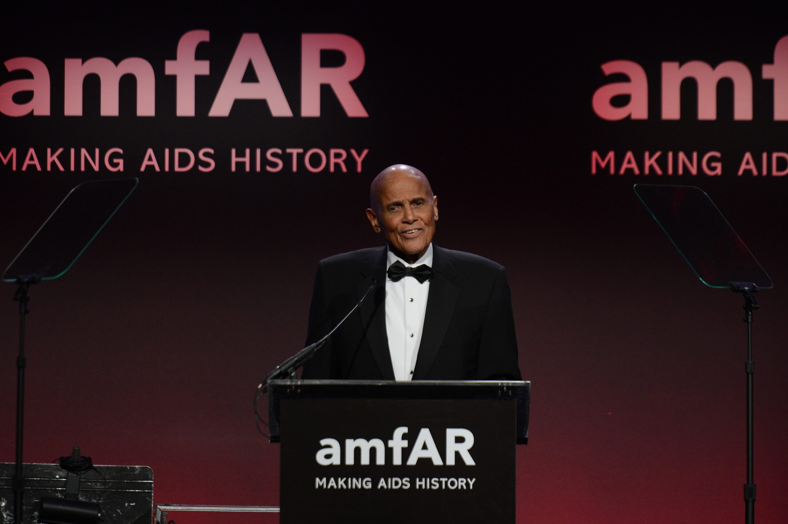 Harry Belafonte speaks onstage at the amfAR New York Gala at Cipriani Wall Street in 2013