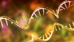 Stock illustration representing mRNA molecules, from amfAR's article demystifying mRNA science