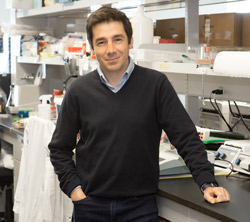 Portrait of Dr. Nicolas Chomont, researcher on early HIV reservoir formation