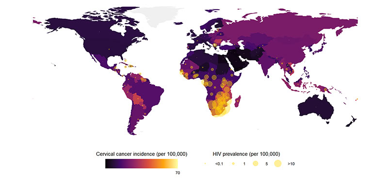 Chart illustrating the overlapping health risks of HIV and cervical cancer among women