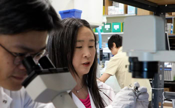 Laboratory photo representing ongoing amfAR-funded HIV cure research