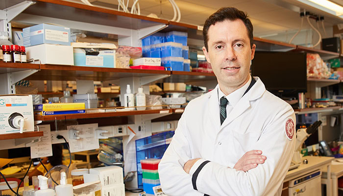 Portrait of Dr. Olivier Elemento of Weill Cornell Medicine, discussing AI's role in cancer and HIV research