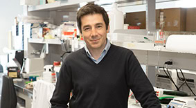Portrait of Nicolas Chomont, PhD, principal investigator on an amfAR-funded HIV persistence study