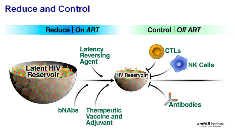 Diagram slide illustrating the immune-boosting strategy in amfAR's HIV cure trial