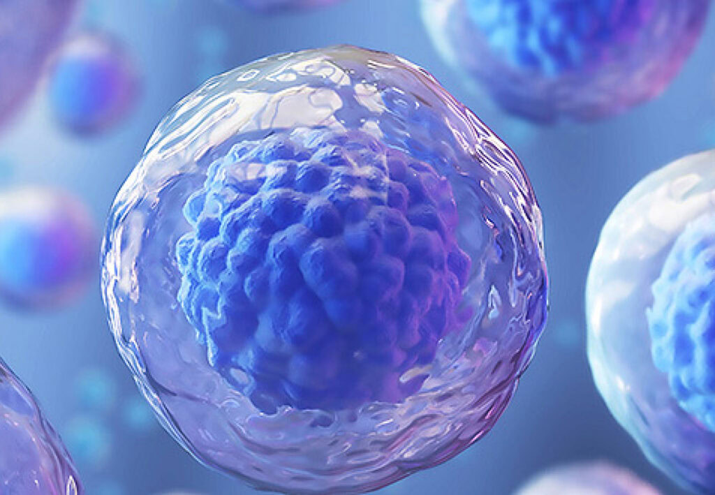 Timeline photo for 2014: the amfAR-funded IciStem consortium replicates the HIV cure