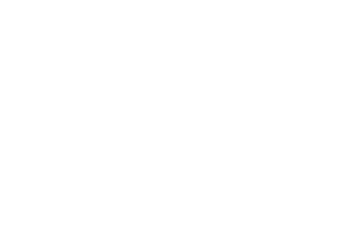 NOLET'S Silver Gin