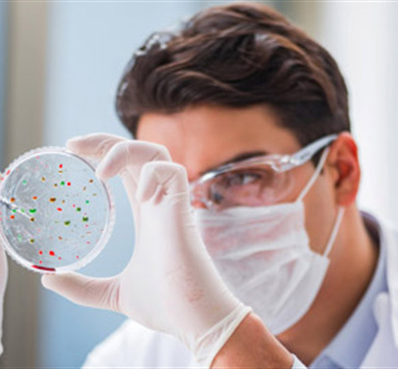 Researcher examining a petri dish, illustrating hormone-based HIV and cancer treatment research