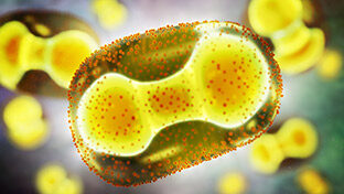Learning from Mpox