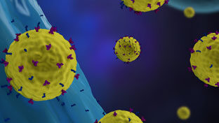 CAR T Cells, Boosted