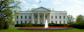 dreamstime_xs_6995008-Cropped