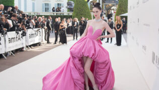 amfAR Gala Cannes