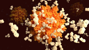 dreamstime_xxl_178912557-thumbnail-v2